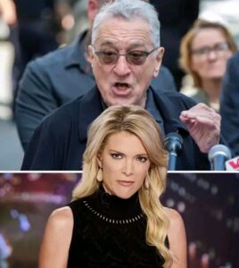 Megyn Kelly openly ‘blast’ Robert De Niro: “He is colossally stupid and i'm not sorry to say that because... See more