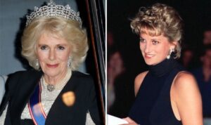 Queen Camilla Under Fire for reportedly removing pictures of the late Princess Diana’s Pictures from the Royal House