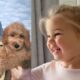 Uncle Travis gifted his niece an adorable golden furry friend, Wyatt couldn’t contain her JOY she said, glowing with so much happiness “we will name her after winnie”